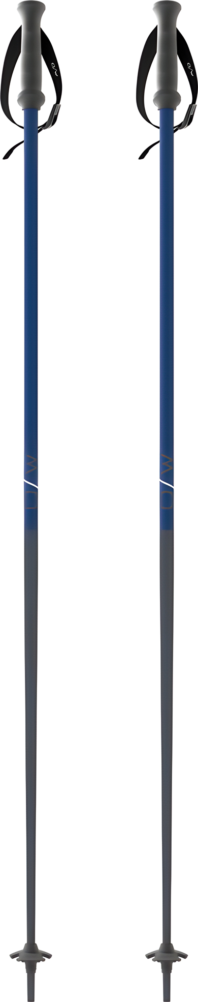 Палки FISCHER OW GT 18 (25/26) Asphalt